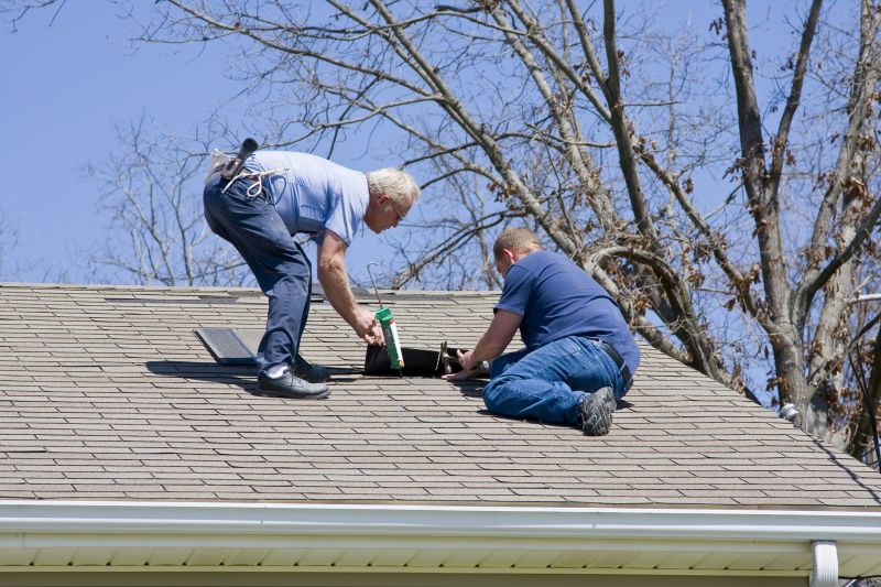 Roof Surface Maintenance