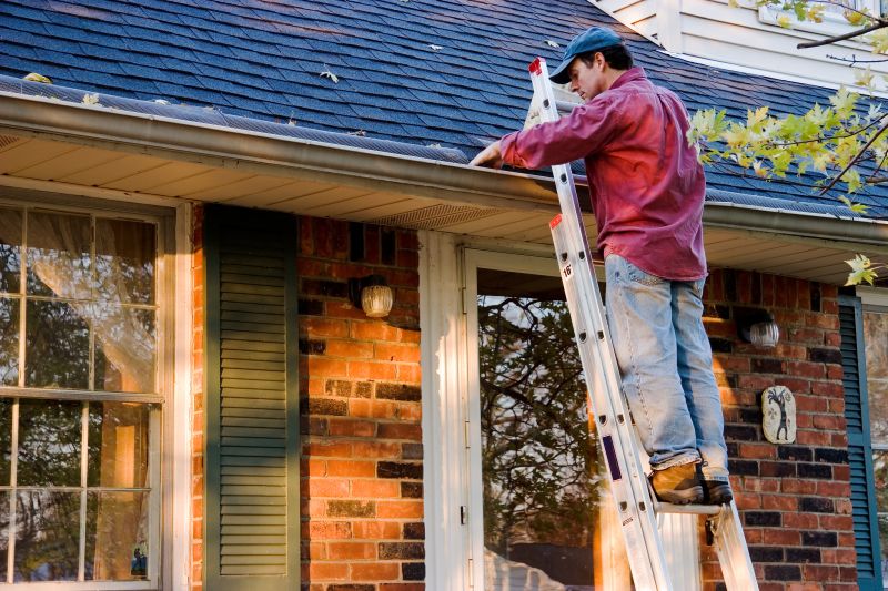 Gutter and Roof Flashing Services