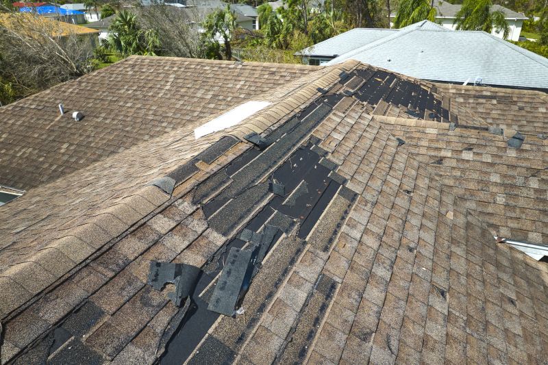 Roof Repair Success